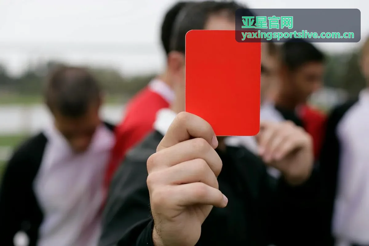亚星官网世界杯预选赛回放